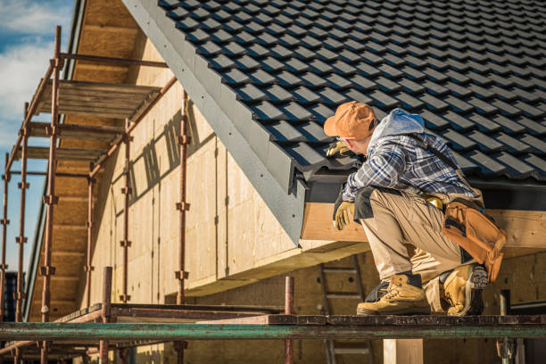 Best Affordable Roof Replacement  in Juno Ridge, FL